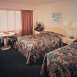 Hilton Flamingo