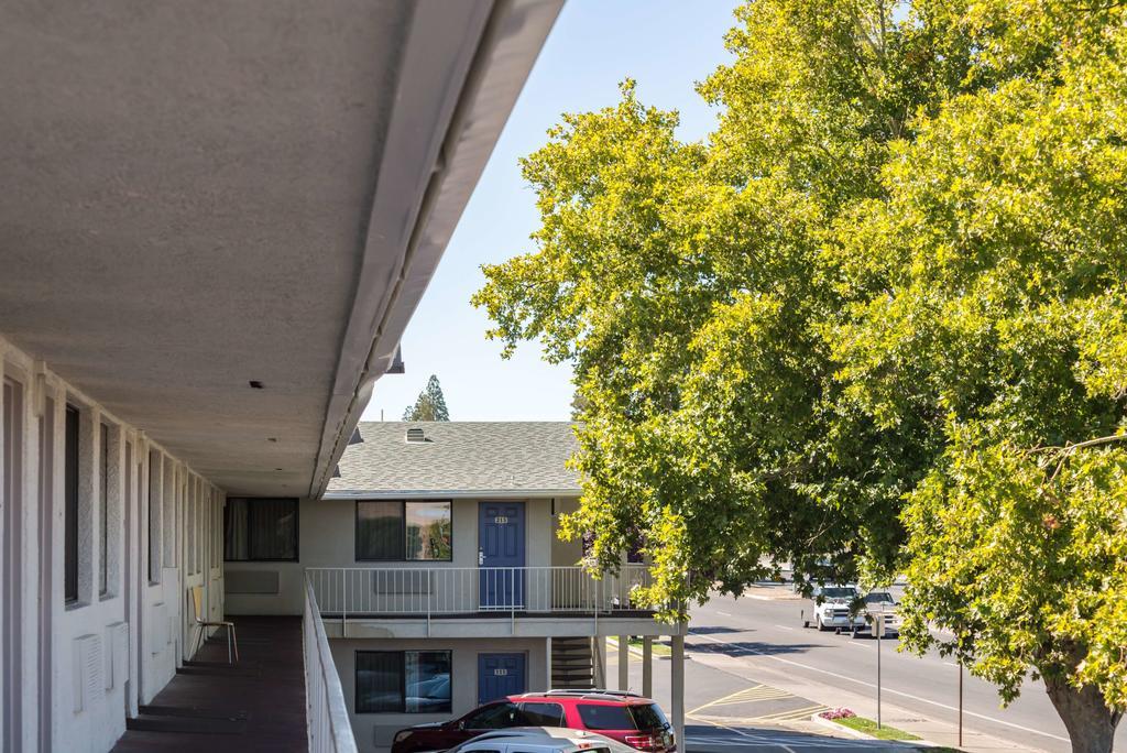 6-reno, Nv - Virginia Plumb Reno