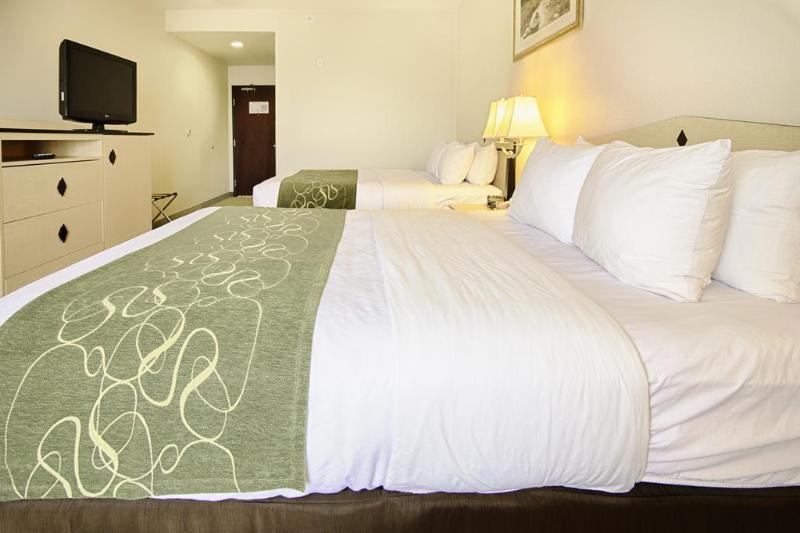 Comfort & Airport Convention Center Hotel