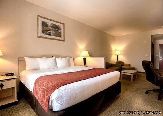 Comfort & Airport Convention Center