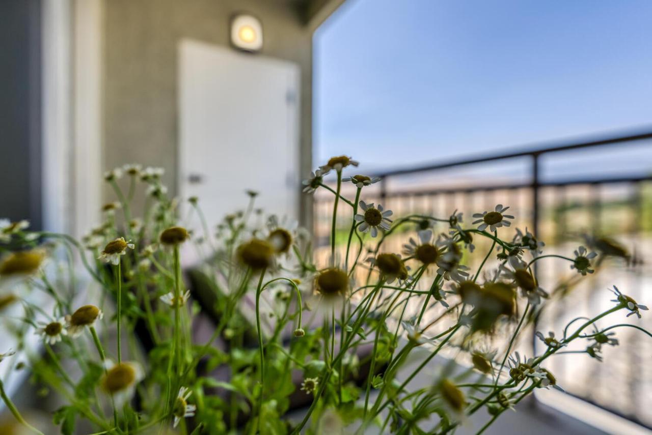 Luxury Retreat - King Beds, Hot Tub, & Pool - Family & Remote Work Friendly *