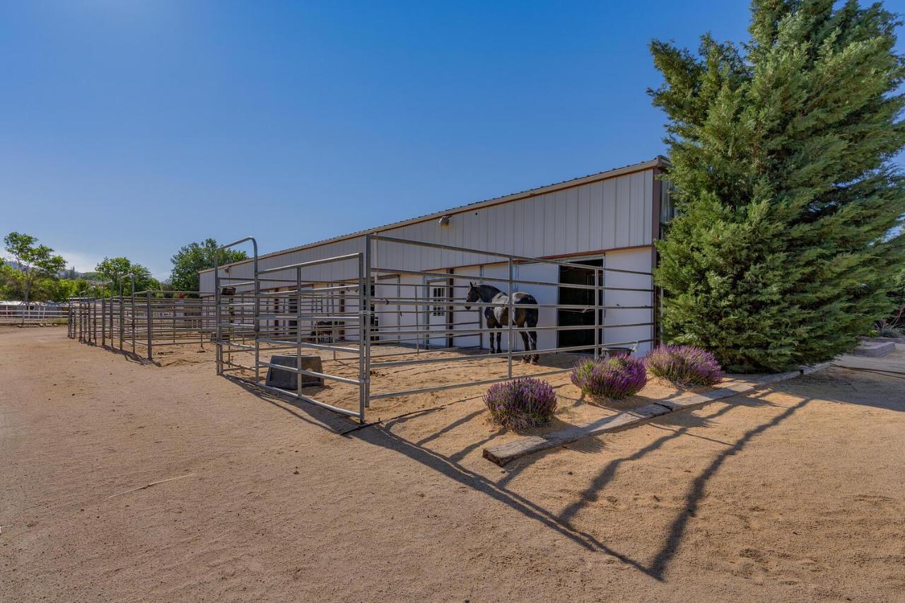 @ Marbella Lane - Eccentric 4br Modern Ranch Holiday home *