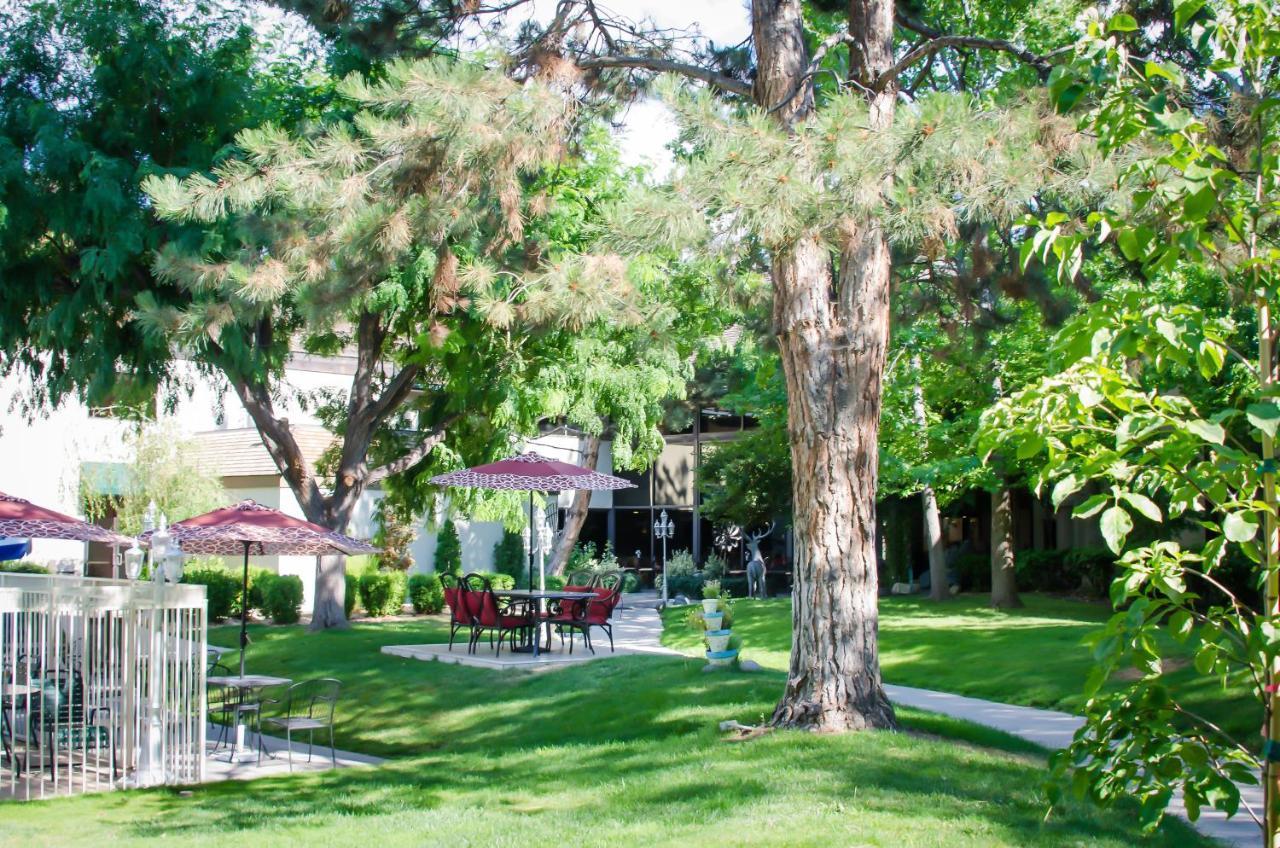 Hotel Surestay By Western Airport