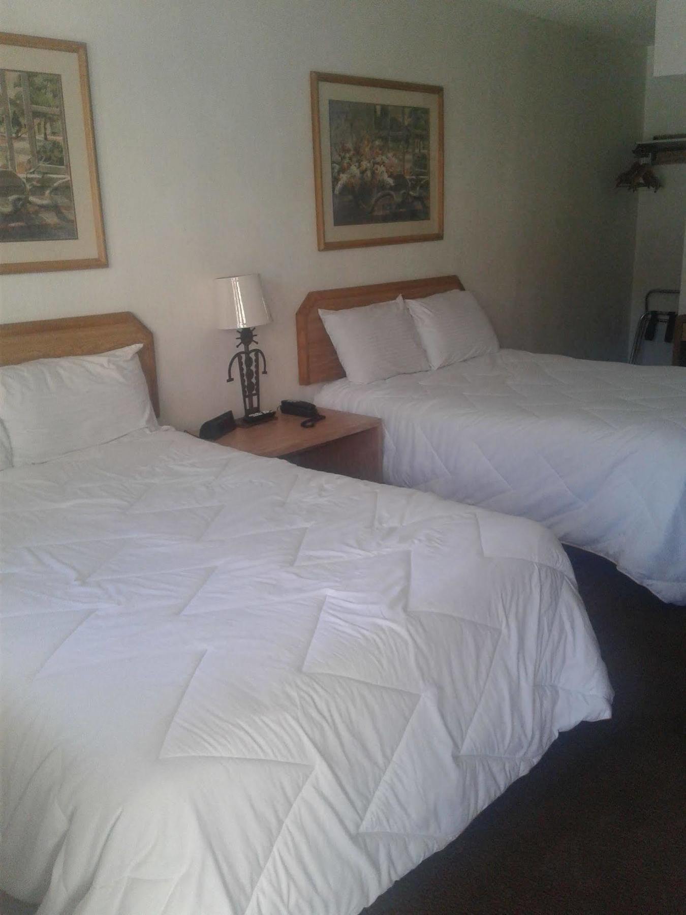 Hotel Desert Rose 2*